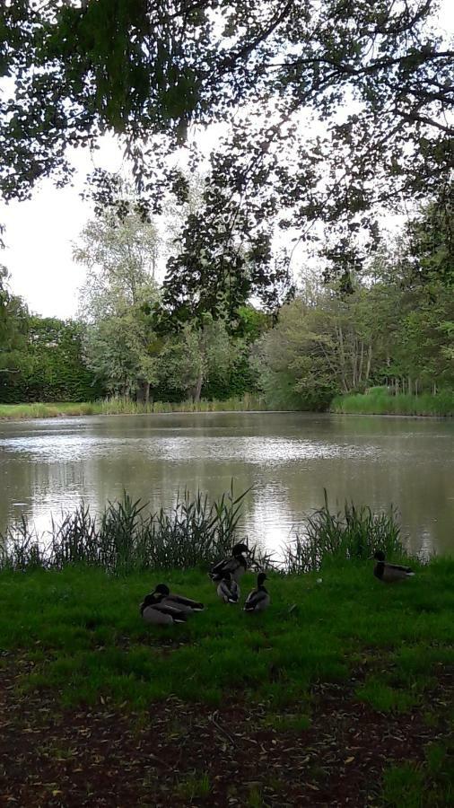 Entre Loire Et Cher Grand Gite "Cote Tilleul" Tour-en-Sologne المظهر الخارجي الصورة