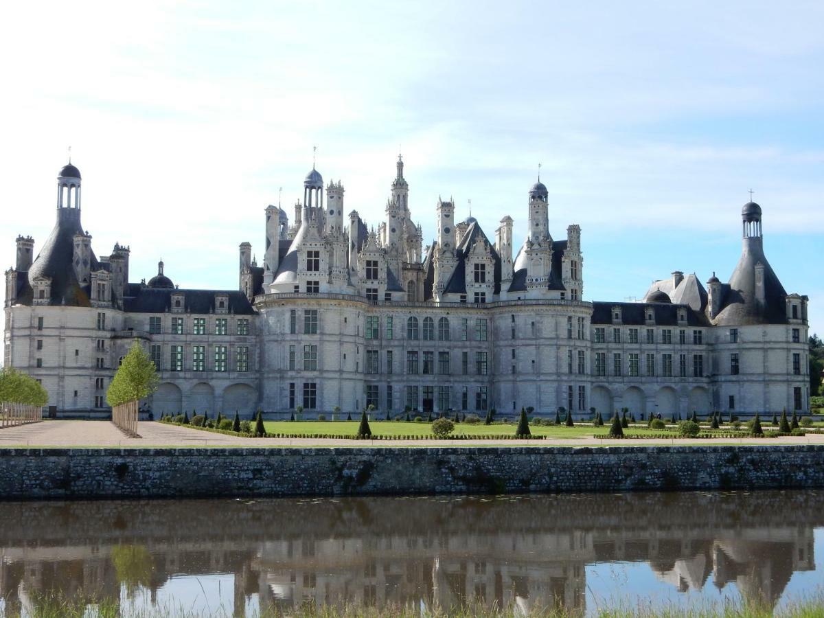 Entre Loire Et Cher Grand Gite "Cote Tilleul" Tour-en-Sologne المظهر الخارجي الصورة